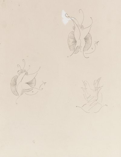 Two Whistler Butterflies and a destroyed sketch by James Abbott McNeill Whistler